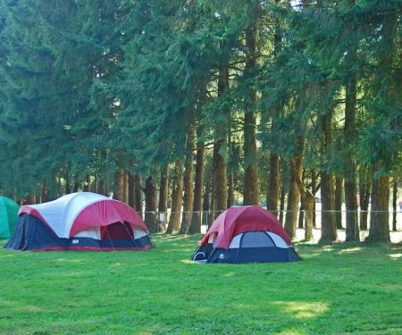 Thousand Trails Thunderbird