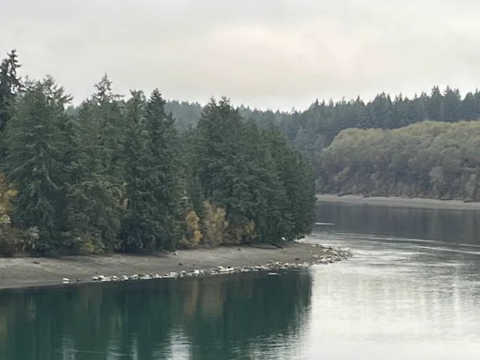 Eagle Landing Picture 6