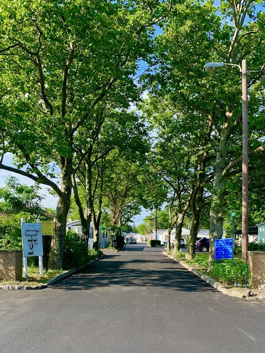 Brookside Mobile Estates Picture 5