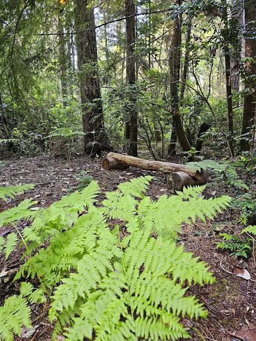 SoundLand Picture 2