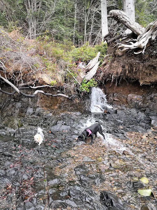 Mountain View Mobile Home Picture 7