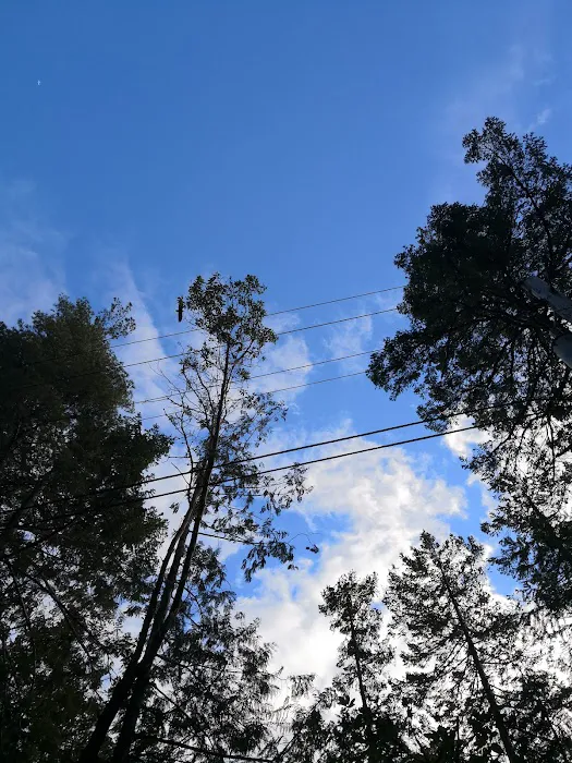 Mountain View Mobile Home Picture 10