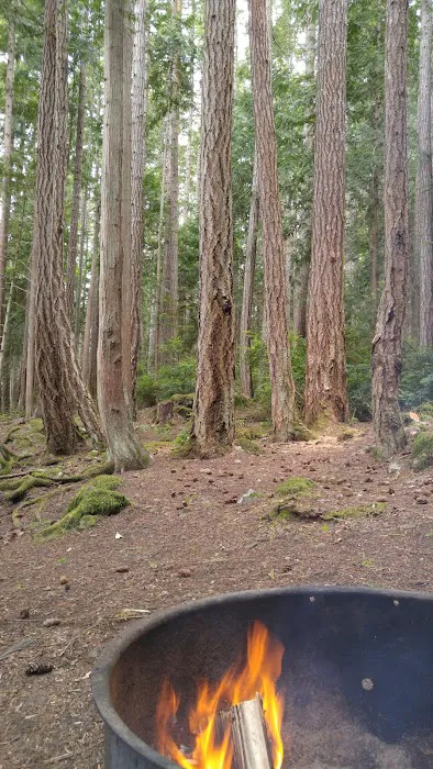 Mountain View Mobile Home Picture 9