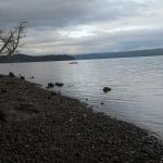 Mountain View Mobile Home