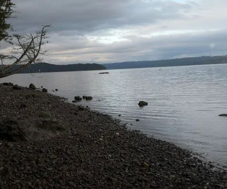 Mountain View Mobile Home