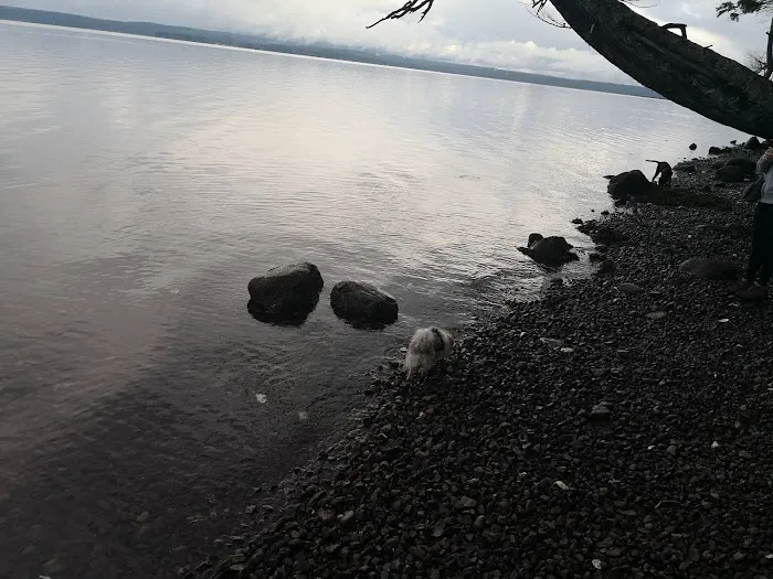 Mountain View Mobile Home Picture 4