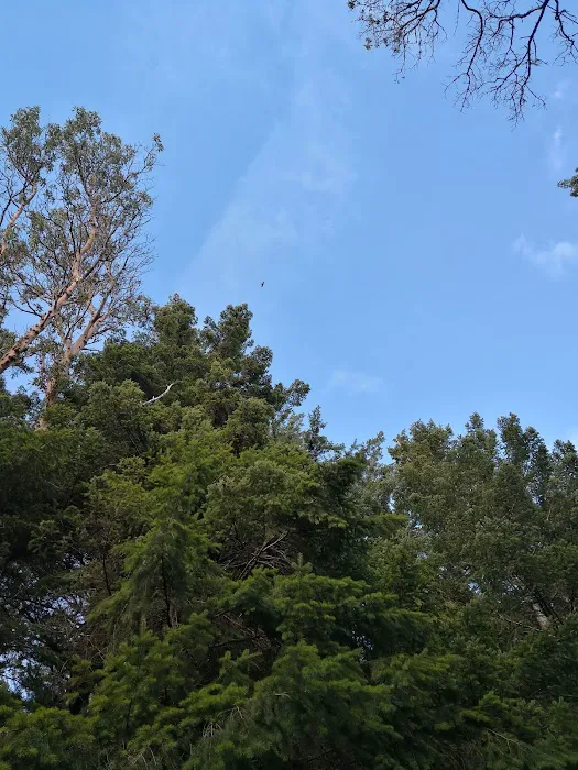 Mountain View Mobile Home Picture 2