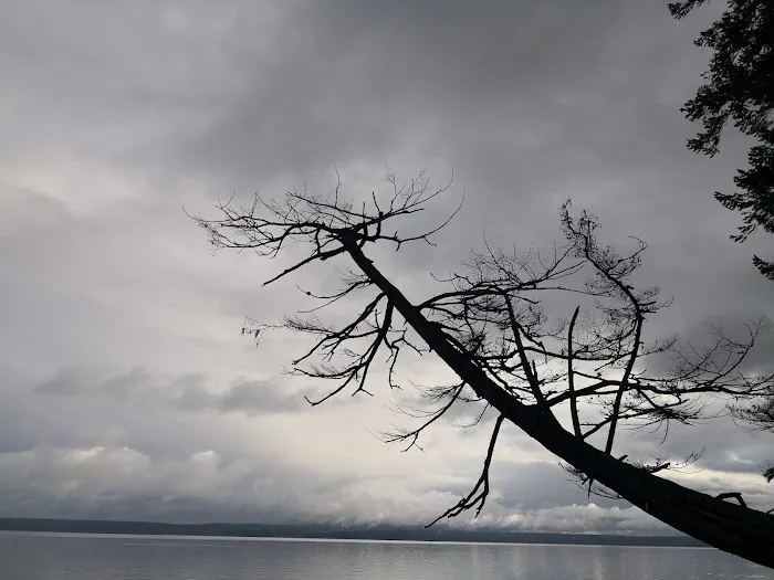 Mountain View Mobile Home Picture 3