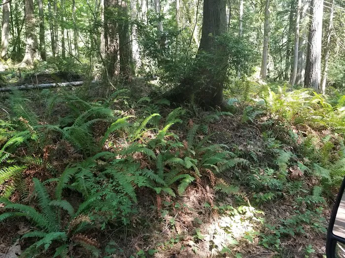 Mountain View Mobile Home Picture 18