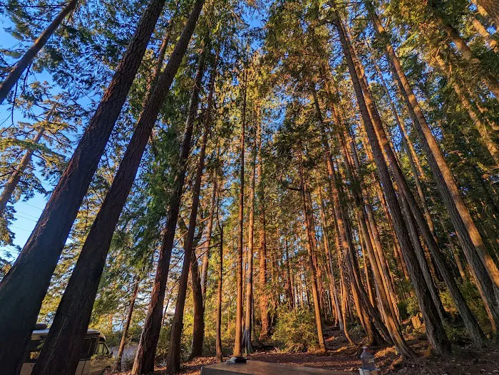 Mountain View Mobile Home Picture 13