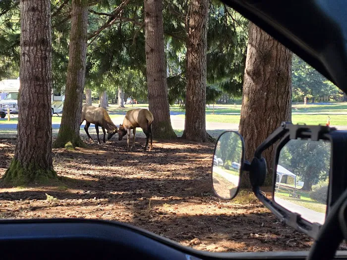 Ba Mar Manufactured Home Community Picture 2