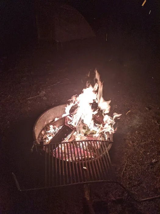 Quilcene Campground Picture 7