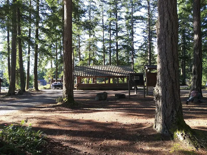 Quilcene Campground Picture 10