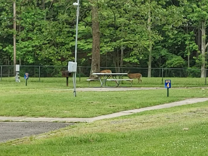 Navy Earle MWR RV Park Picture 6