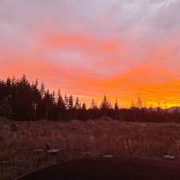 Wildwood River Camp ico
