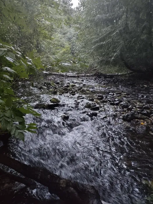 Wildwood River Camp Picture 2