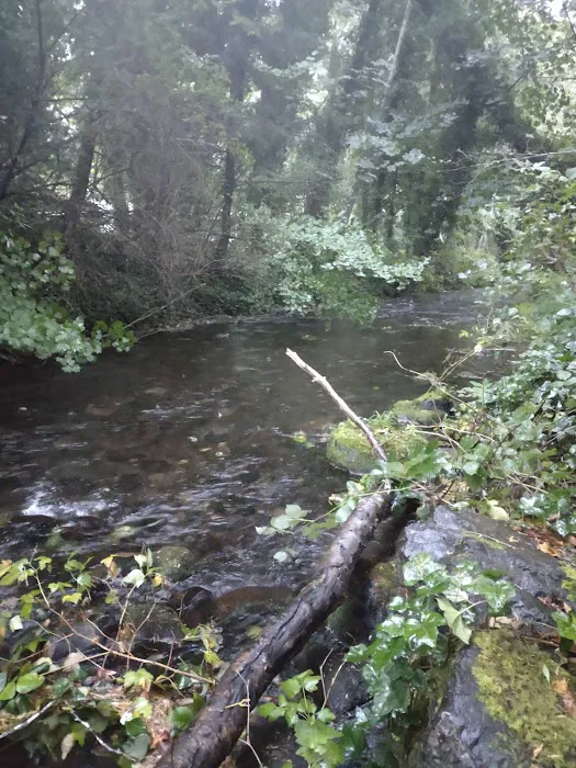 Wildwood River Camp Picture 4
