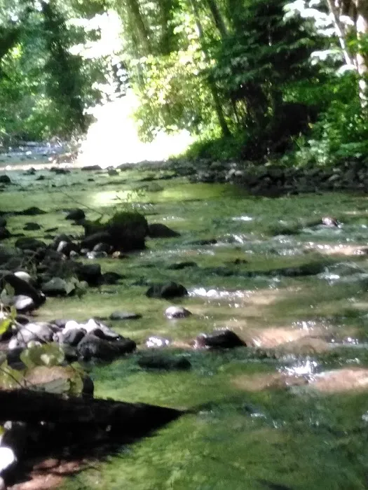 Wildwood River Camp Picture 6