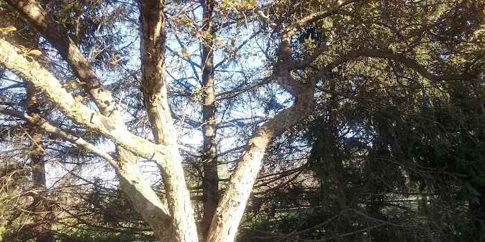 Silvermead Picture 1