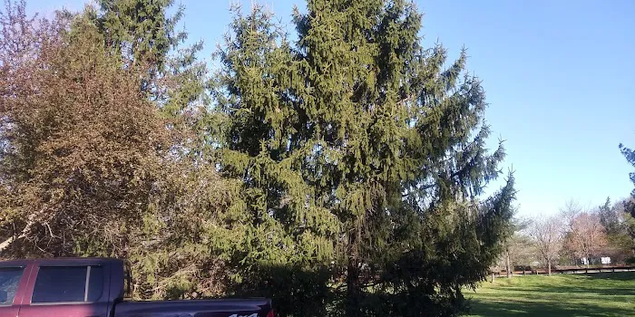 Silvermead Picture 4