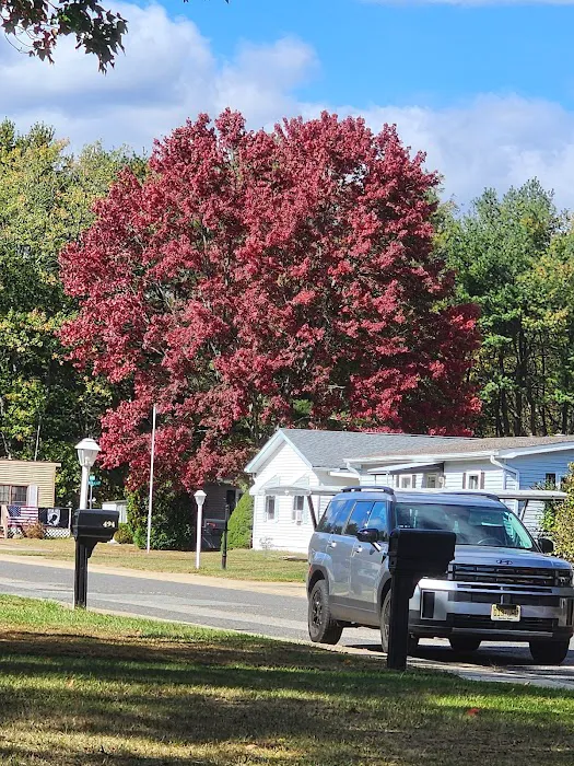 Silvermead Picture 7