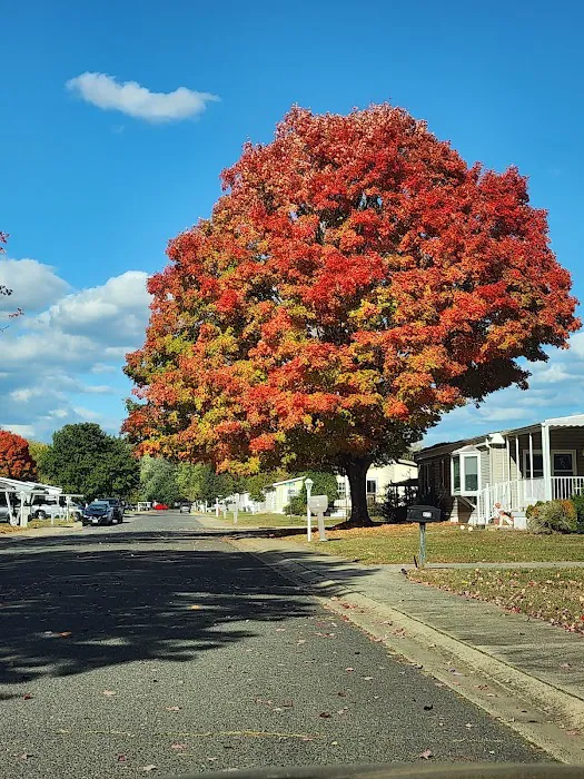 Silvermead Picture 9