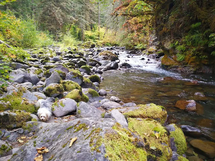 Falls View Campground Picture 5