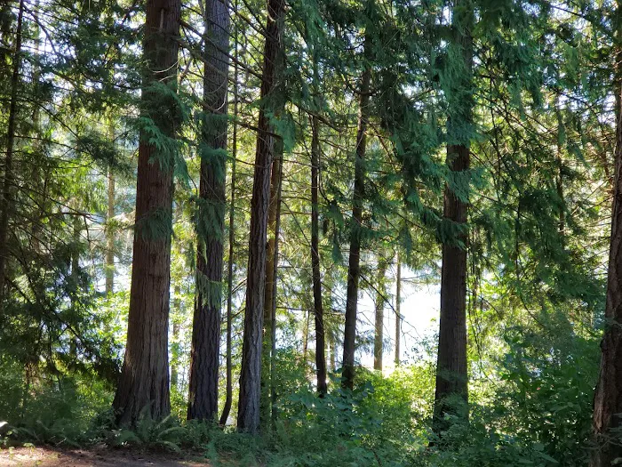 Leland Lake Campground Picture 7