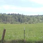 Leland Lake Campground