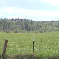 Leland Lake Campground ico