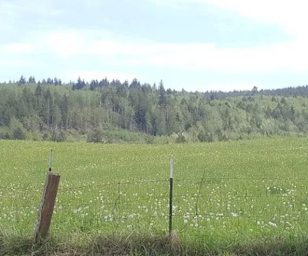 Leland Lake Campground