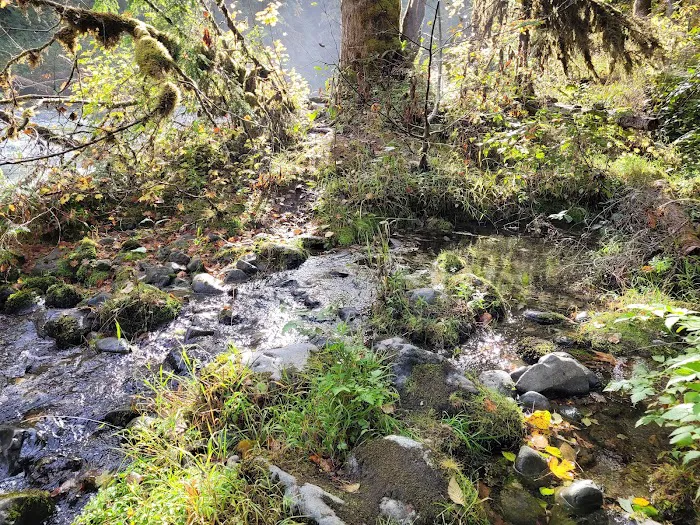 Collins Campground Picture 10