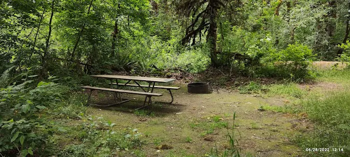 Collins Campground Picture 1