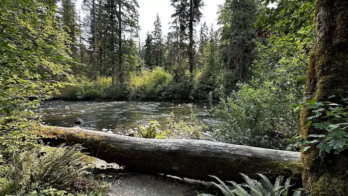 Collins Campground Picture 8