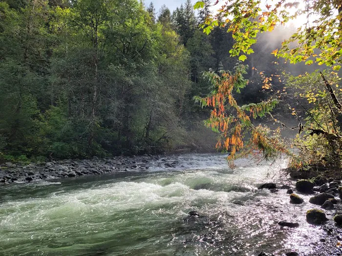 Collins Campground Picture 9