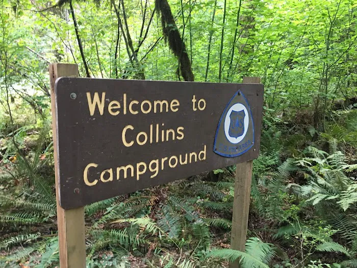 Collins Campground Picture 6