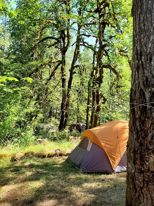 Collins Campground Picture 4