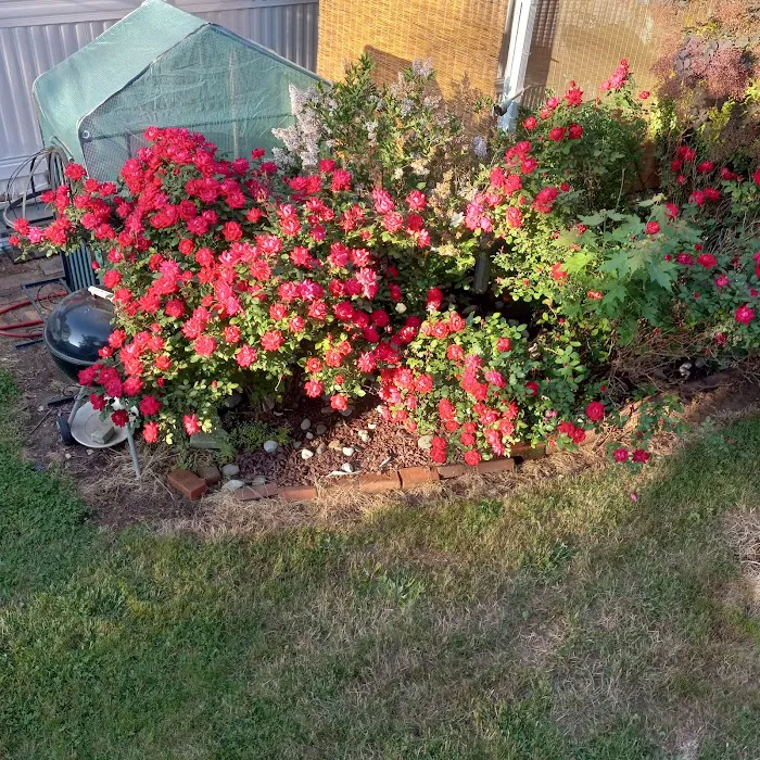 Friendly Mobile Park Picture 7