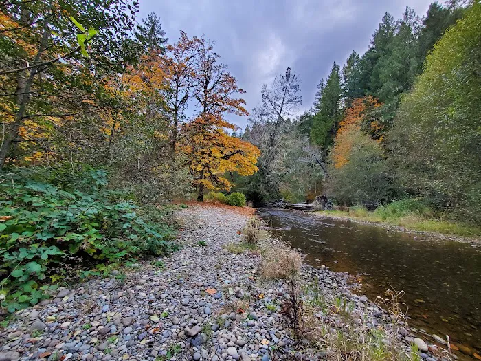 Crystal Springs Wilderness Lodges & RV Resort Picture 6
