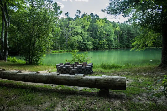 Crystal Springs Wilderness Lodges & RV Resort Picture 7