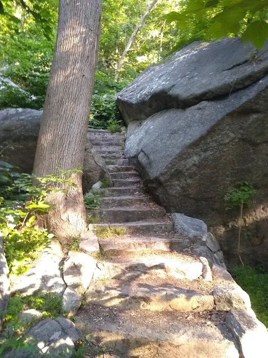 Hudson View Terrace Picture 4