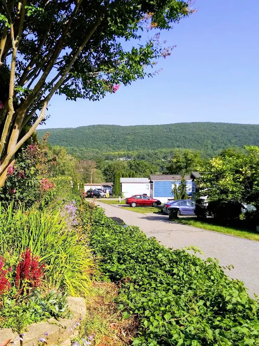 Hudson View Terrace Picture 9