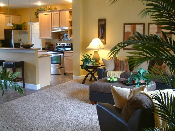 Brittany Terrace Picture 2