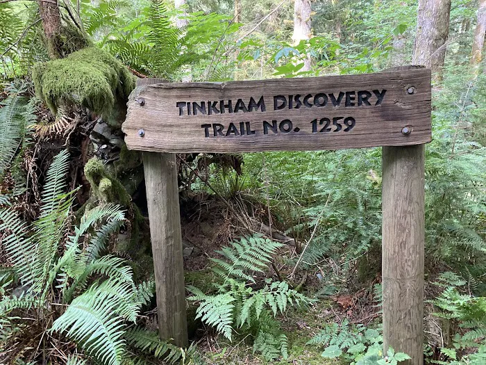 Tinkham Campground Picture 4