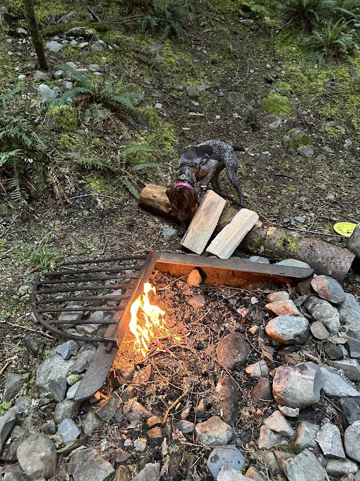 Tinkham Campground Picture 2