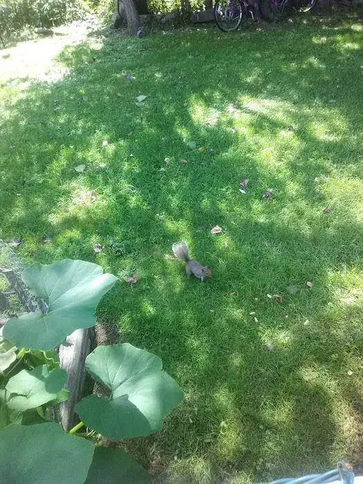 Walter's Mobile Home Village Picture 9