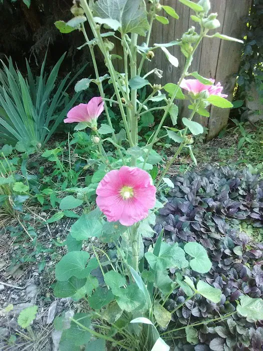 Walter's Mobile Home Village Picture 6