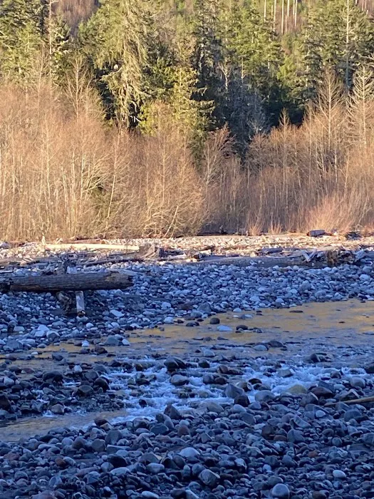 Carbon Glacier Trail Picture 5