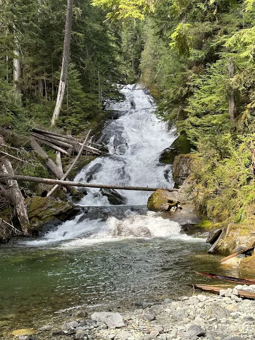Carbon Glacier Trail Picture 4