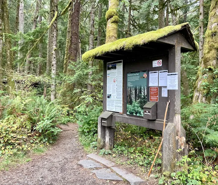 Carbon Glacier Trail Picture 3